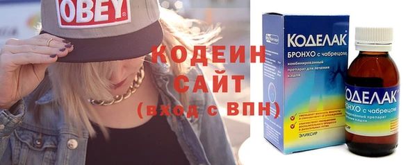 хмурый Нея