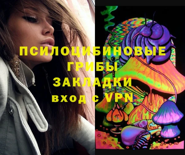 хмурый Нефтекумск
