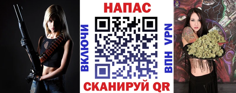 Каннабис сатива  Шагонар 